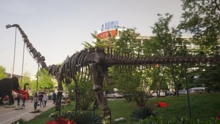 ?? ?????.jpg ?? ?????.jpg