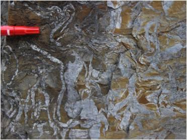 shenbing1.jpg shenbing1.jpg