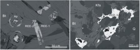 Xu figure.jpg Xu figure.jpg
